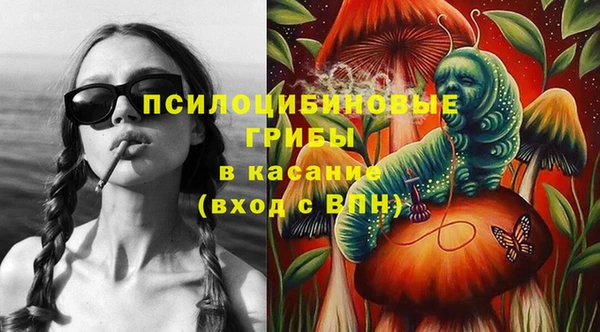 герыч Арсеньев