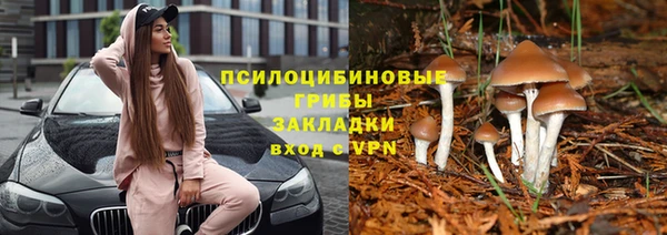 СК Аркадак